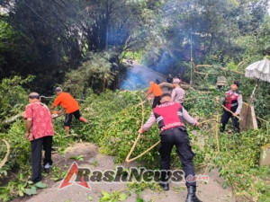 Tanggap Darurat: Babinsa dan BPBD Gianyar Evakuasi Ranting Beringin Tumbang Tanpa Korban