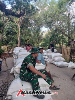 Panen 1,7 Hektare di Potu, Babinsa Kawal Penjualan Gabah ke Bulog