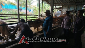 Bhabinkamtibmas Desa Batannyuh Sambang Desa Atensi Kegiatan Vaksinasi PMK