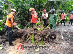 Pastikan keselamatan pengguna jalan, Babinsa Desa Duda bersinergi evakuasi pohon yang tumbang.