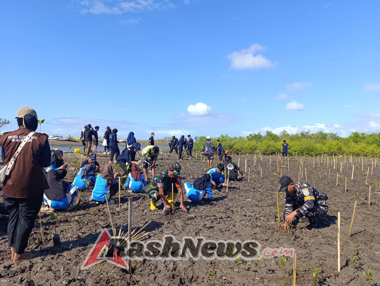 Cegah Abrasi, Babinsa Koramil 1615-04/Keruak Galakkan Penanaman Mangrove di Pesisir Tanjung Luar