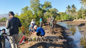 Peringati Hari Mangrove Dunia, Koramil Aesesa Bersama Warga Hijaukan Pantai Nangadhero
