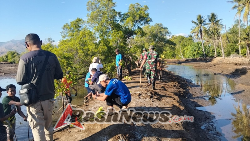 Peringati Hari Mangrove Dunia, Koramil Aesesa Bersama Warga Hijaukan Pantai Nangadhero
