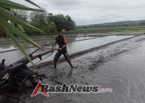 Babinsa Aktif di Tengah Masyarakat, Pratu Antonius Gunakan Traktor Bantu Petani