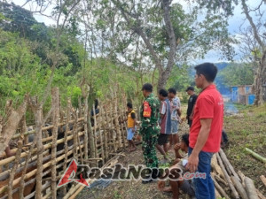 Wujud Kepedulian Babinsa terhadap Kesehatan Ternak Masyarakat Matwai Amahu