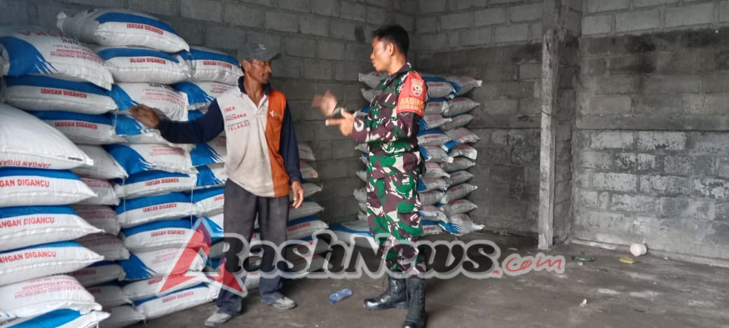 Turun Langsung Cek Ketersediaan Pupuk, Langkah Nyata Babinsa Banjarangkan Sejahterakan Petani