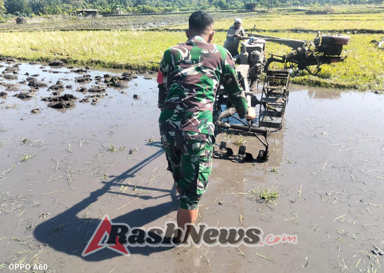 Babinsa Koramil Maurole Bersama Kelompok Tani Wujudkan Kemanunggalan TNI-Rakyat