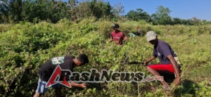 Bentuk Kepedulian Satgas, Pos Haslot Bersama Masyarakat Laksanakan Pembersihan Lapangan Kapela St Yoseph