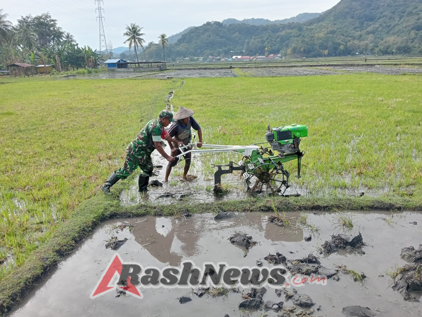 Babinsa Kodim 1602/Ende Dukung Ketahanan Pangan dengan Bantu Bajak Sawah di Desa Nuanaga