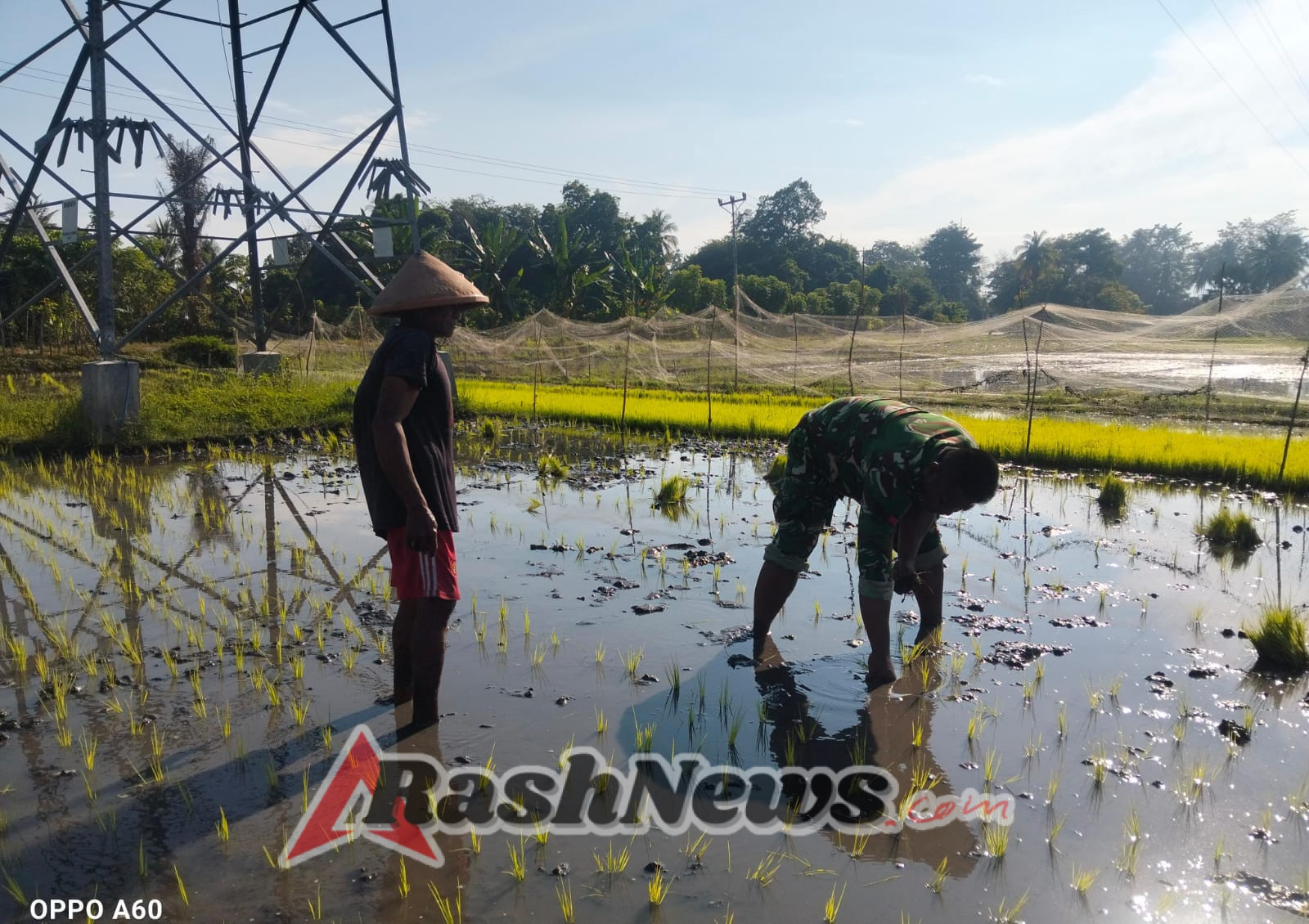 Sinergi Babinsa dan Kelompok Tani: Dorong Produktivitas Pertanian di Desa Woloau