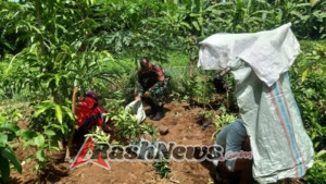 Petani Pembibitan Buah dan Bunga Terima Komsos dari Babinsa