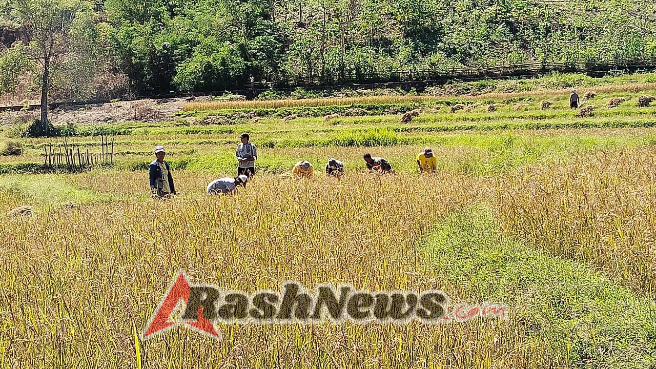 Sertu Husni Dorong Semangat Gotong Royong Petani Desa Malata