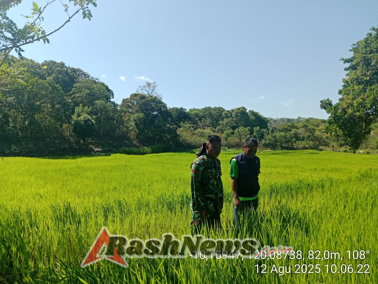 Babinsa Koramil 04/Tabundung Dampingi Petani  Tingkatkan Ketahanan Pangan Di Wilayah