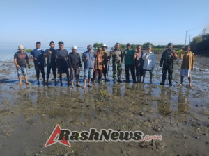 Satgas TMMD ke-125 Bangun Desa, Rawat Alam: Penanaman Mangrove Warnai Pesisir Kaung