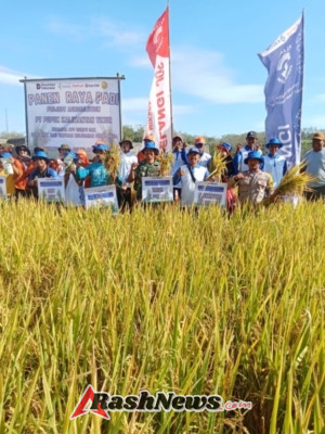 Serka Jubaidin Kawal Panen Agrosolution Bersama Pupuk Kaltim