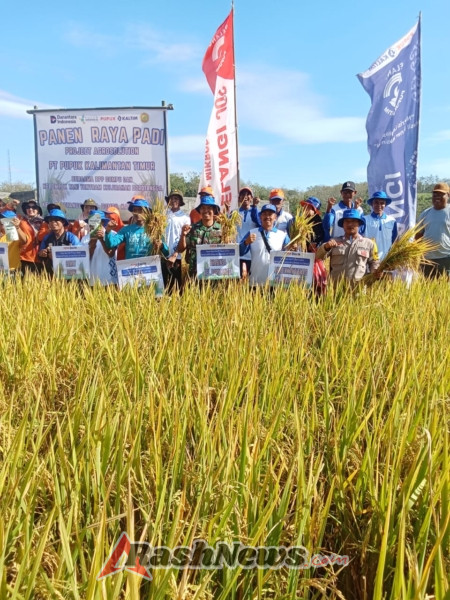 Serka Jubaidin Kawal Panen Agrosolution Bersama Pupuk Kaltim