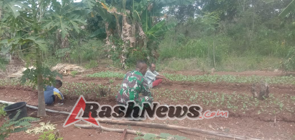 Babinsa Koramil 1618-02/Miobar Ajak Petani Manfaatkan Lahan Pekarangan untuk Ketahanan Pangan