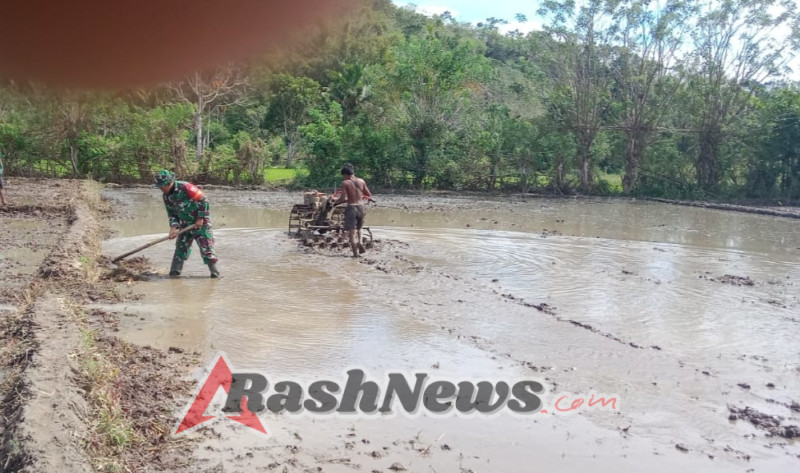 Dukungan Hanpangan, Babinsa Tabundung Bantu Pematang Sawah Milik Warga