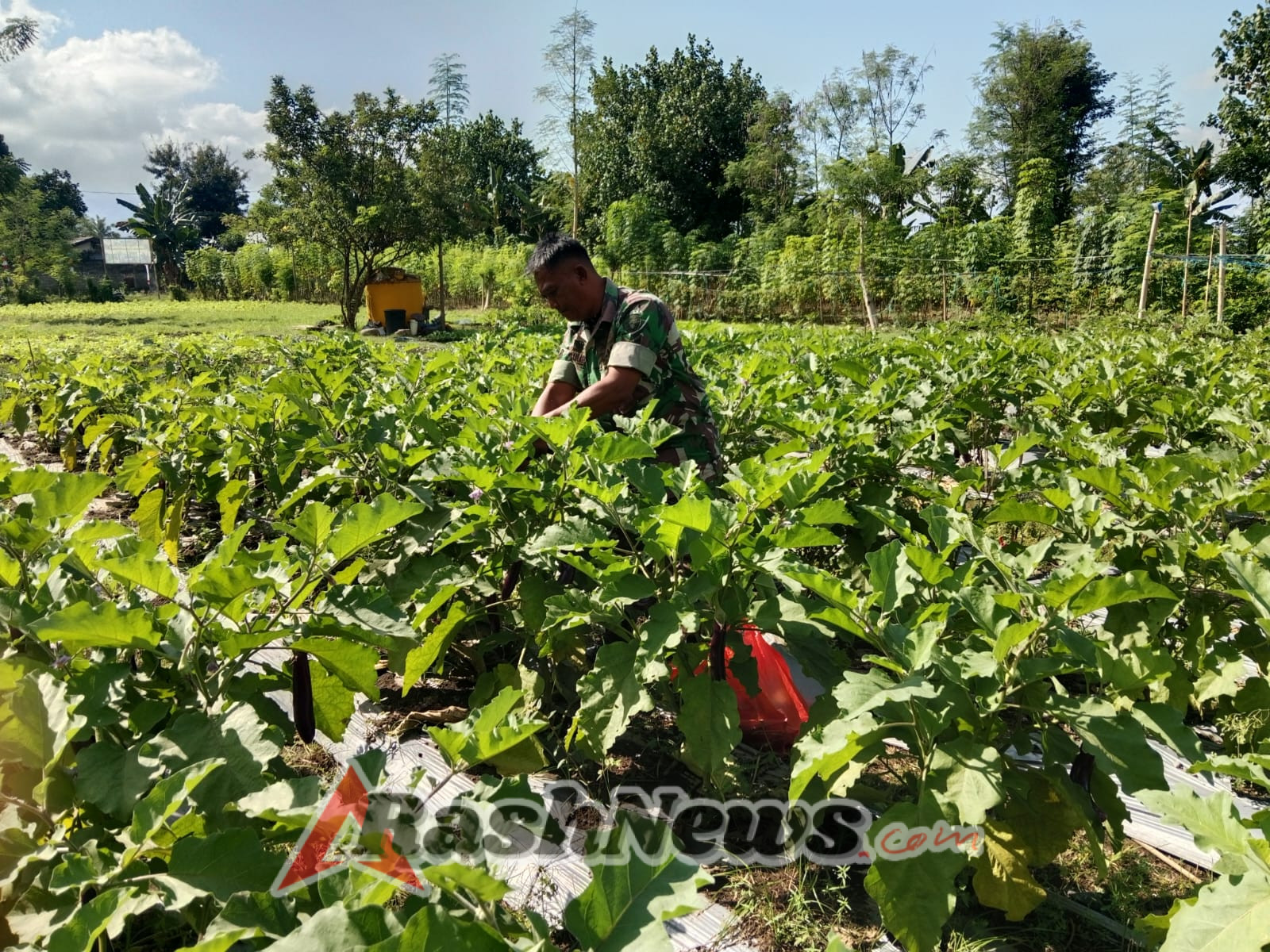 Kodim 1602/Ende Dorong Masyarakat Desa Emburia Tingkatkan Produktivitas Pertanian