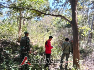 Patroli Gabungan Tambora: Antisipasi Penebangan Liar dan Jaga Ekosistem Piong
