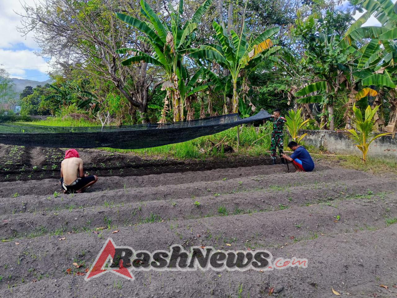 Tingkatkan Ekonomi Warga, Babinsa Pantar Timur Ajak Manfaatkan Lahan Kosong