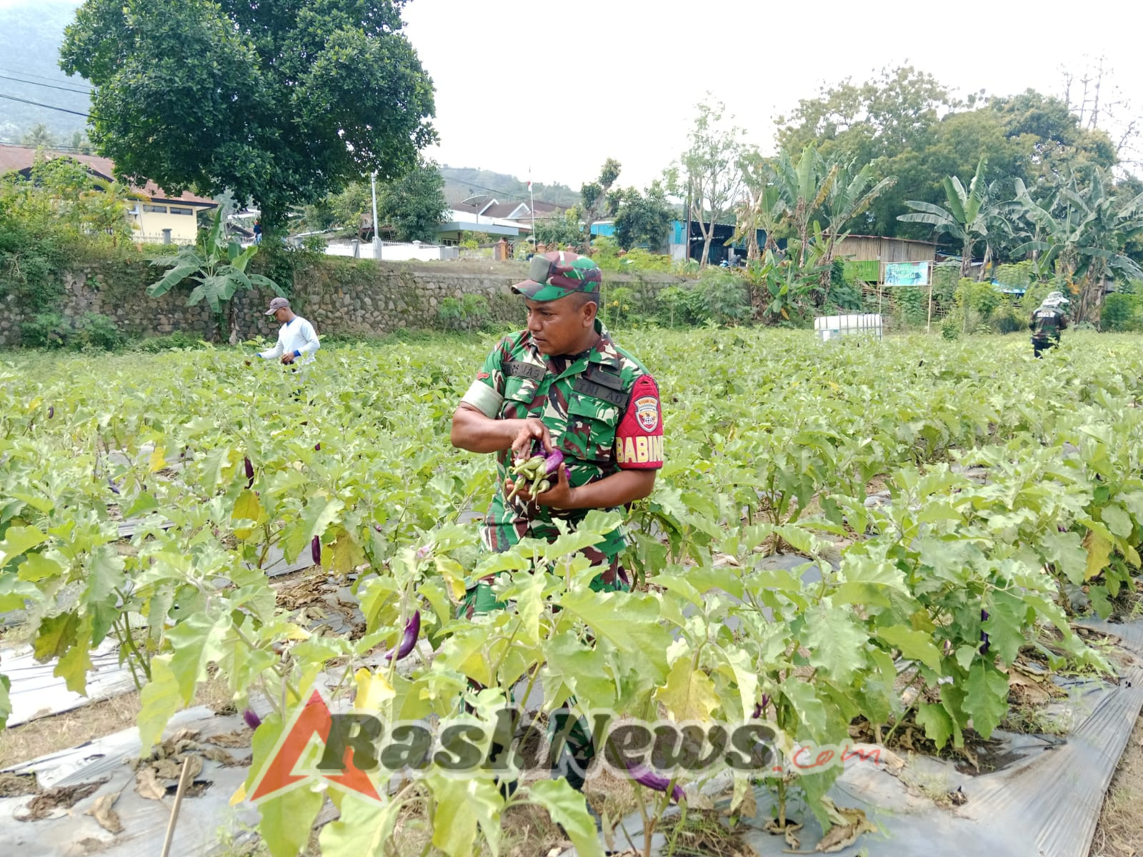 Kegiatan Monitoring dan Pamwil Babinsa Ende Tengah Berjalan Aman dan Lancar