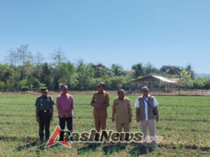 Program Ketahanan Pangan Kodim 1613/Sumba Barat Dapat Dukungan DPR RI