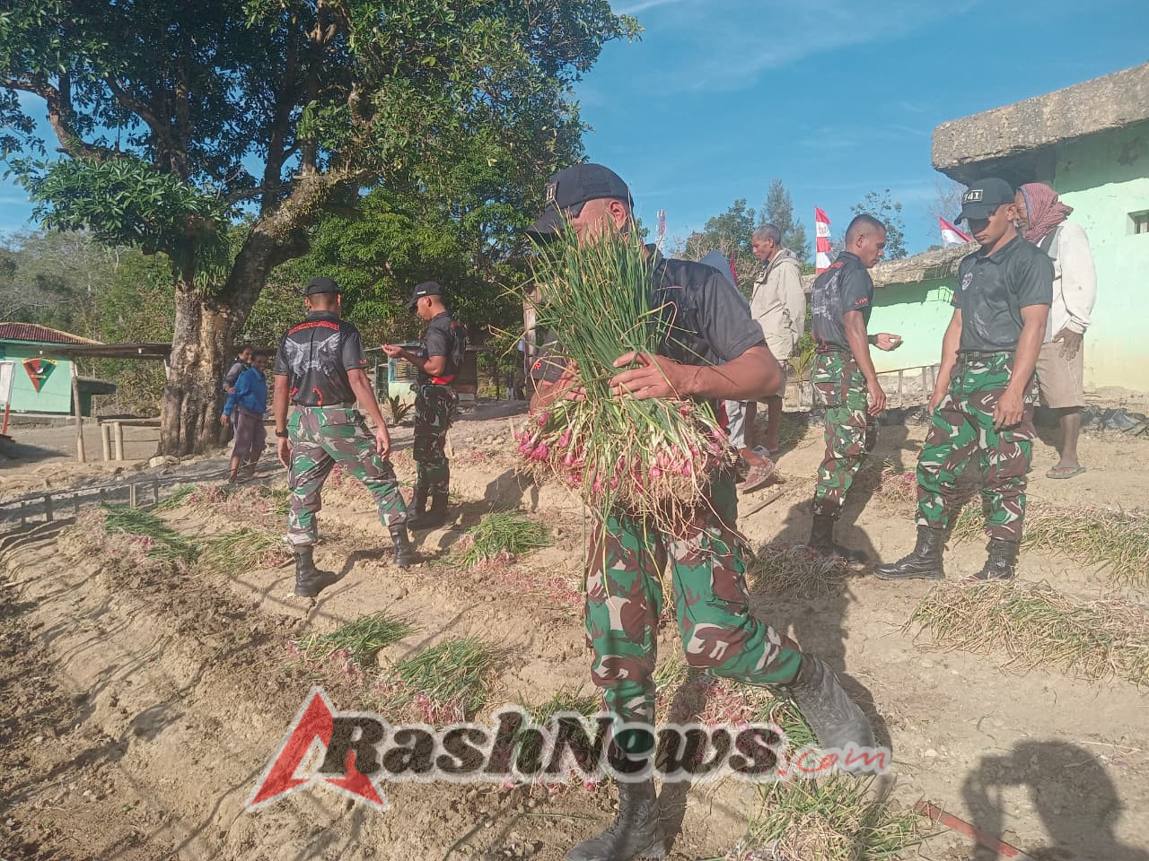 Pos Kewar Ajak Warga Desa Manfaatkan Lahan Kosong, Dengan Panen Bawang di Kebun Pos