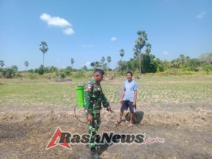 Kopda Otniel Bofe Dampingi Petani Bantu Semprot Rumput Persiapan Lahan Untuk Tanam Sayur