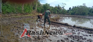 Babinsa Kodim 1601/ST Perkuat Ketahanan Pangan Lewat Pendampingan Petani