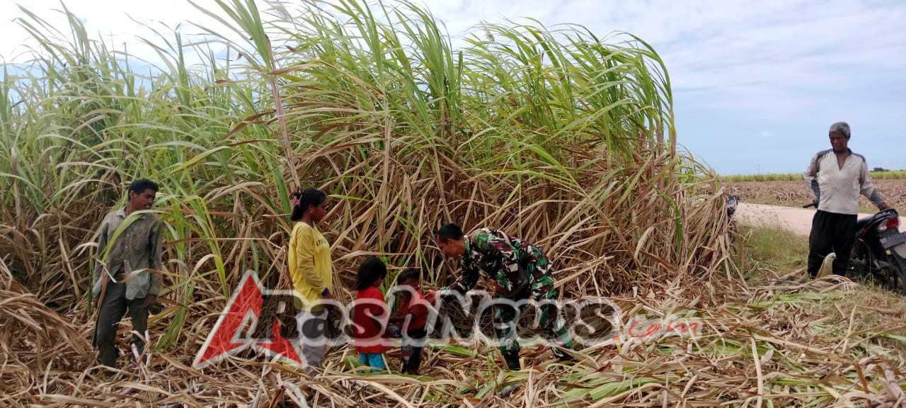 Jalin Silaturahmi, Babinsa Rindi Umalulu Komsos Bersama Pemanen Tebu Wilayah Binaan