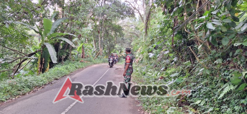 Babinsa dan Bhabinkamtibmas Sinergi Cegah Bahaya Pohon Tumbang di Bukian