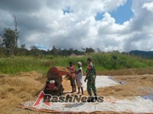 Melalui Komsos, Babinsa Purnama Dorong Petani Optimalkan Lahan Pasca Panen