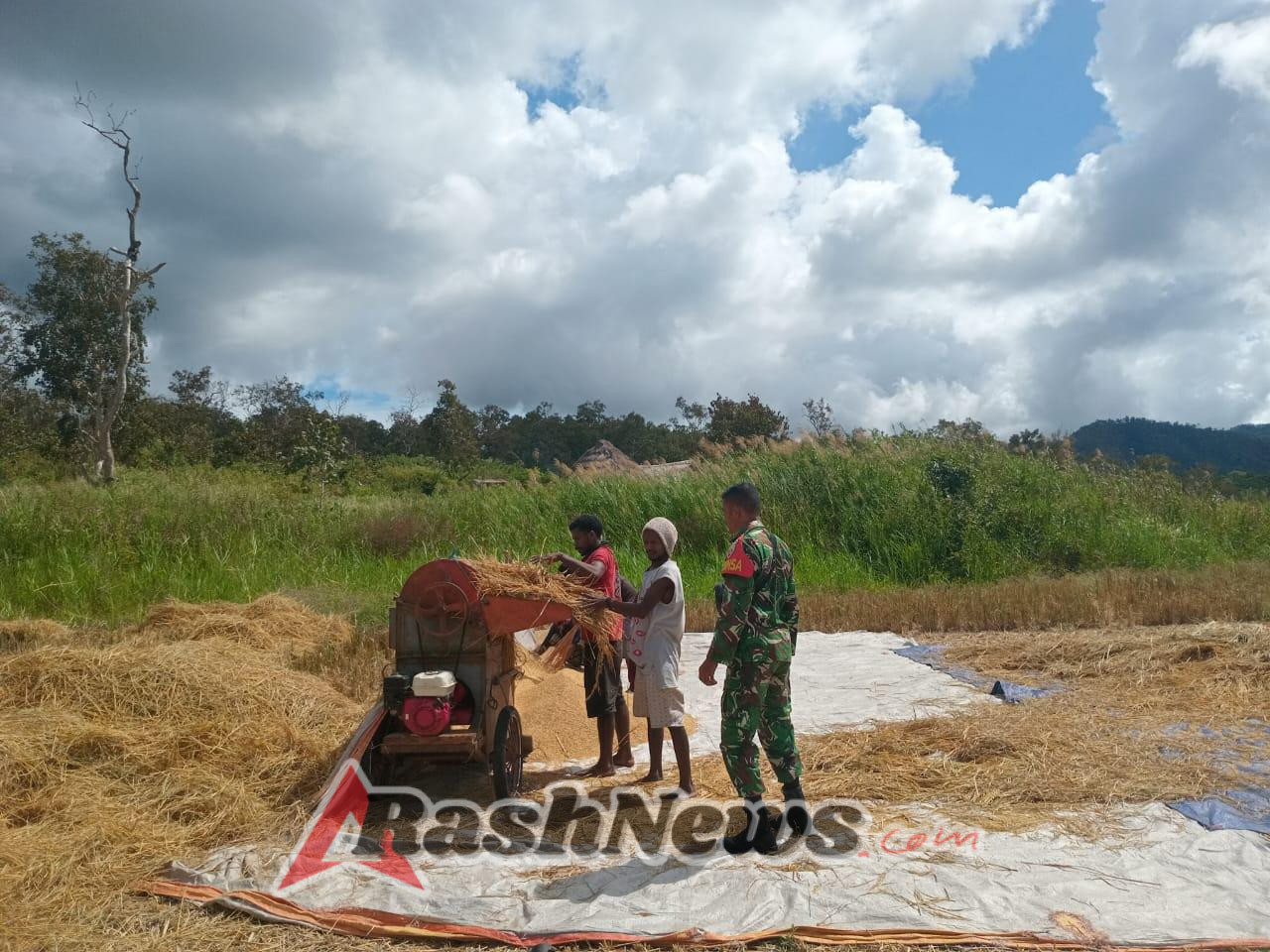 Melalui Komsos, Babinsa Purnama Dorong Petani Optimalkan Lahan Pasca Panen
