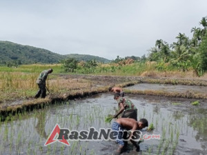Babinsa Desa Tulleng Beri Edukasi Pertanian dan Ajak Warga Laporkan Kendala Pertanian