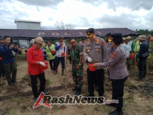 Pemanfaatan Alsintan Modern untuk Pertanian Jagung di Tabanan, Polres Tabanan Beri Dukungan Penuh