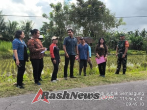 Babinsa Turun Sawah, Serka Dewa Putu Dampingi Pengendalian Hama Tikus Dan Monitoring LTT