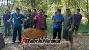 Babinsa Banyuatis Dampingi Penyaluran Bantuan 17 Ekor Sapi dari Dana Desa