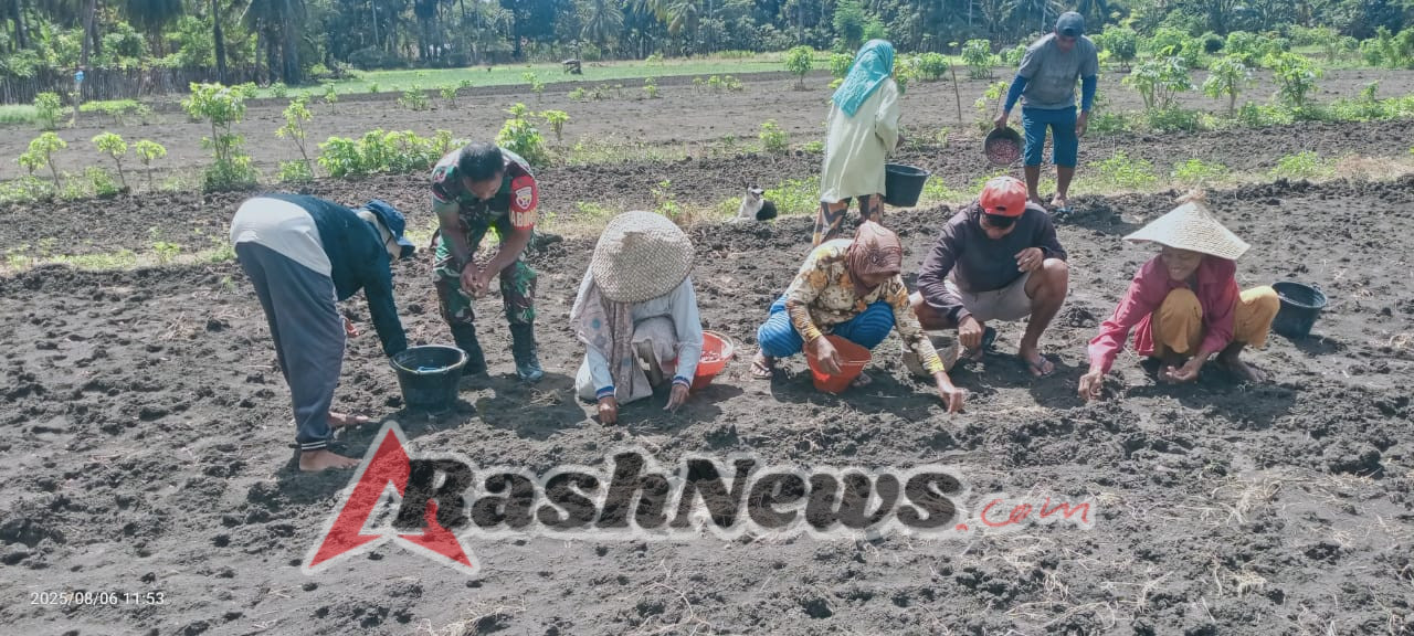 TNI dan Petani Bersatu, Babinsa Ajak Gotong Royong Kurangi Beban Kerja