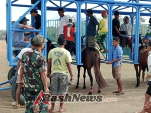 TNI dan Warga Bersinergi Jaga Ketertiban Turnamen Pacuan Kuda di Sumba Barat
