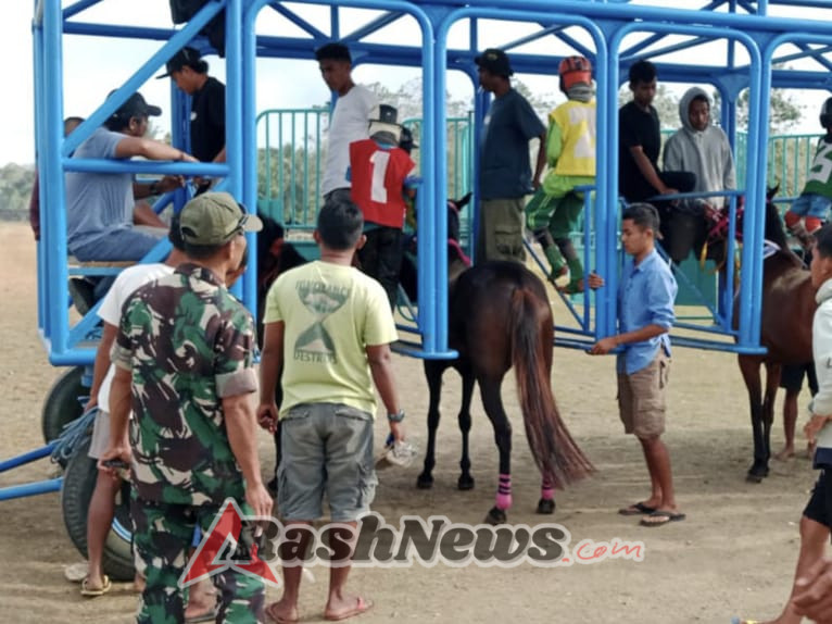 TNI dan Warga Bersinergi Jaga Ketertiban Turnamen Pacuan Kuda di Sumba Barat