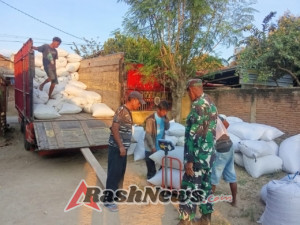 Panen Padi di Desa Samili, Kelompok Tani So Pambu Dapat Pendampingan dan Pengawalan Harga Gabah