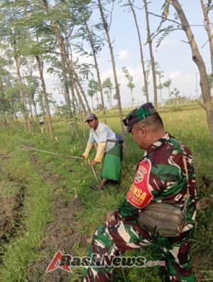 Dukung Kelancaran Optimasi Lahan, Babinsa Bantu Pengukuran Lahan Tresier di Barebelik