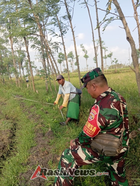 Dukung Kelancaran Optimasi Lahan, Babinsa Bantu Pengukuran Lahan Tresier di Barebelik