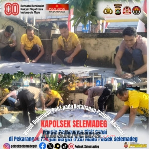 Kapolsek Selemadeg Pimpin Penanaman Bibit Cabai, Wujud Dukungan Polri pada Ketahanan Pangan Nasional