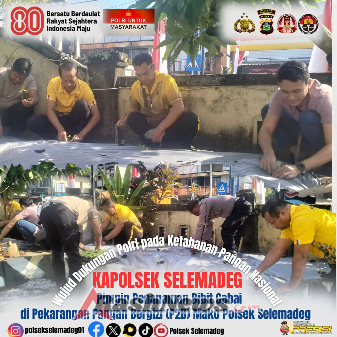 Kapolsek Selemadeg Pimpin Penanaman Bibit Cabai, Wujud Dukungan Polri pada Ketahanan Pangan Nasional