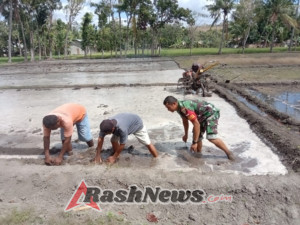 Sertu M. Ali Bersama Warga Malumbi Siapkan Lahan Tanam Padi