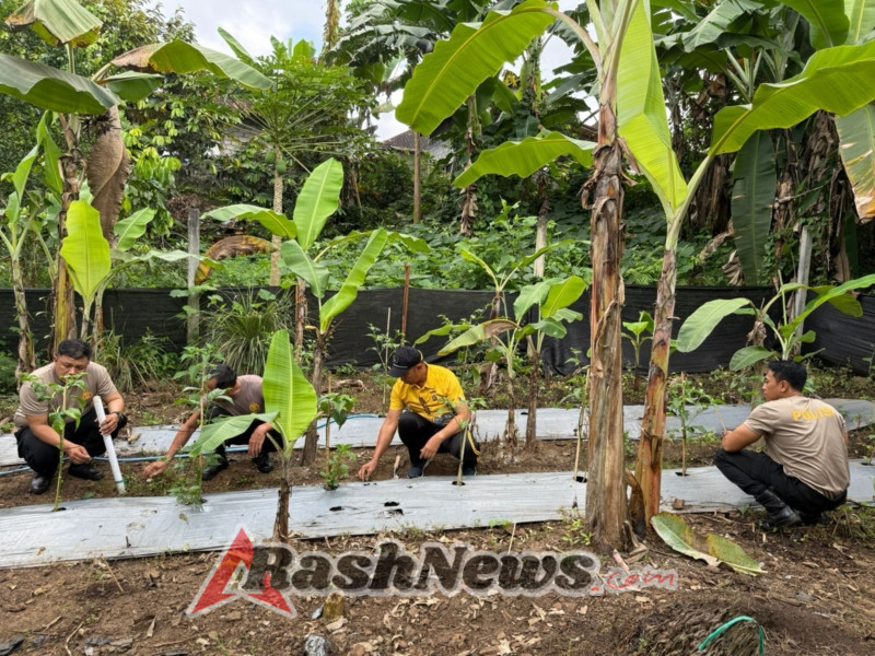 Polsek Selemadeg barat laksanakan kegiatan Rawat Kebun Cabai di Desa Selabih