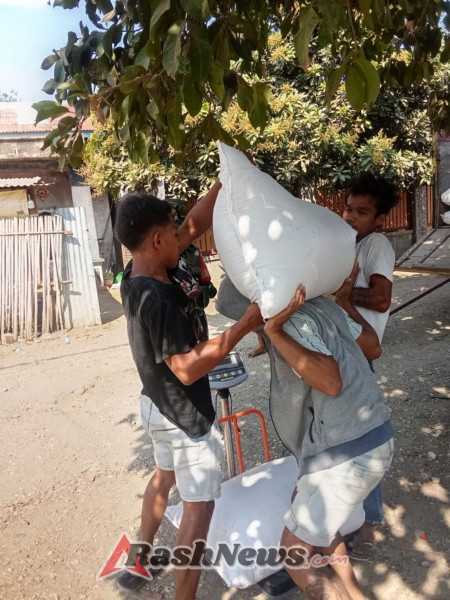 Penyerapan Gabah di Desa Samili Berjalan Aman dan Tertib, Babinsa Turut Hadir