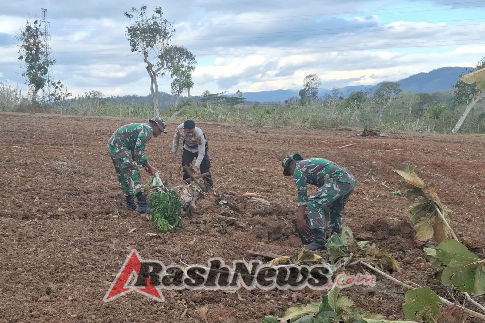 Optimasi Lahan Pertanian Pada Kegiatan TMMD 125 Kodim Belu Capai 100 Persen